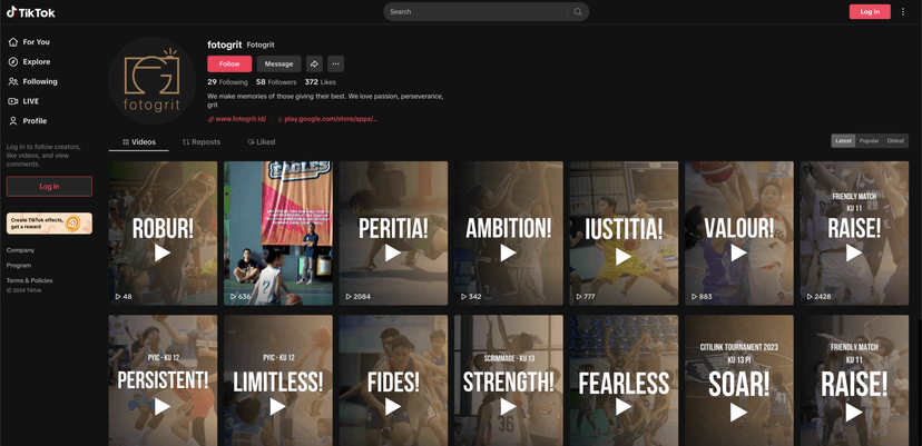 TikTok Feed Preview